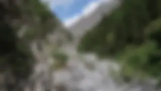 Beschreibung