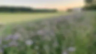 Das Landwirtschaftsjahr 2024