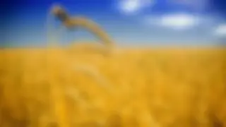 Versorgungssicherheitsbeiträge
