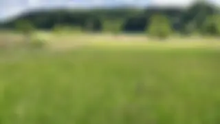 Biodiversitätsbeiträge 2025